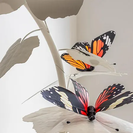 Ad Maiora ורונה